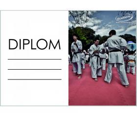 DK02b Diplom karate ZDARMA