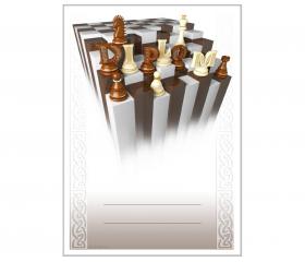 DS07b Diplom šachy